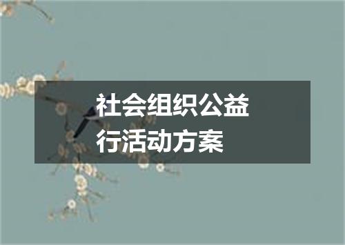 社会组织公益行活动方案
