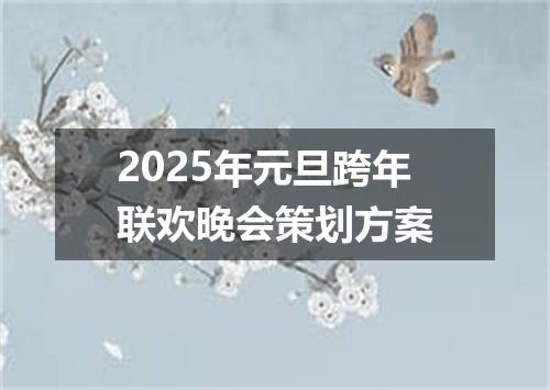 2025年元旦跨年联欢晚会策划方案