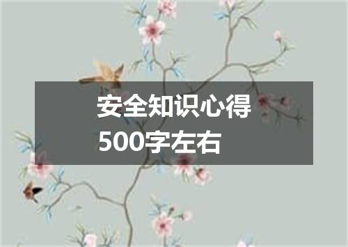 安全知识心得500字左右