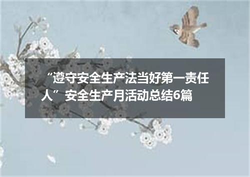 “遵守安全生产法当好第一责任人”安全生产月活动总结6篇