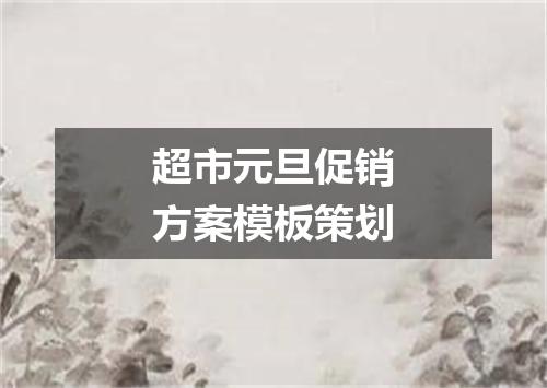 超市元旦促销方案模板策划