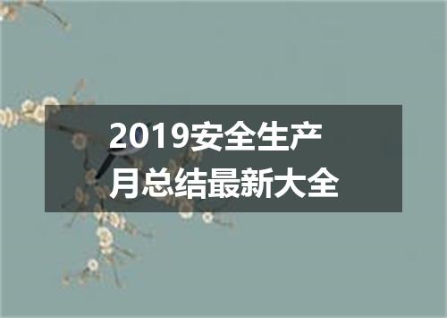 2019安全生产月总结最新大全