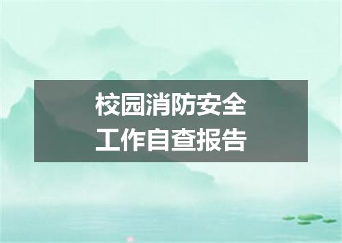 校园消防安全工作自查报告