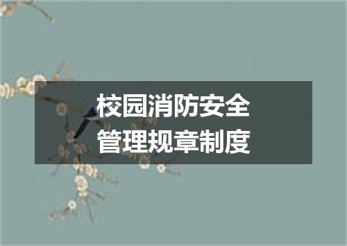 校园消防安全管理规章制度