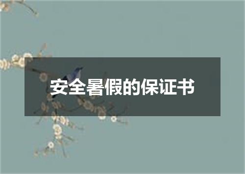 安全暑假的保证书