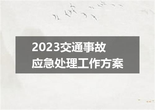 2023交通事故应急处理工作方案