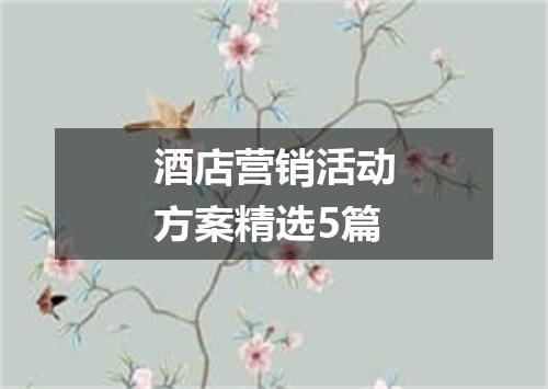 酒店营销活动方案精选5篇