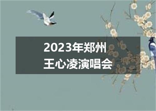 2023年郑州王心凌演唱会