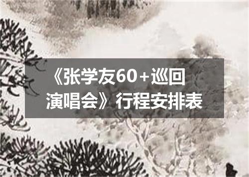 《张学友60+巡回演唱会》行程安排表