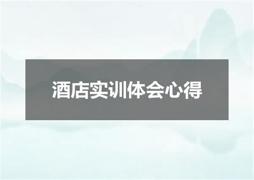 酒店实训体会心得