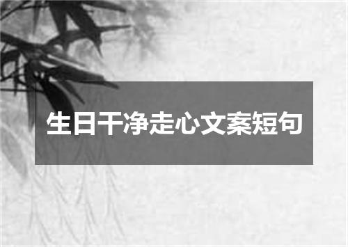 生日干净走心文案短句