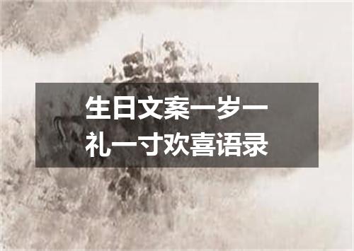 生日文案一岁一礼一寸欢喜语录