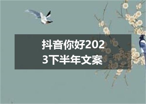 抖音你好2023下半年文案