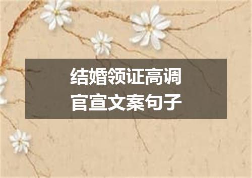 结婚领证高调官宣文案句子