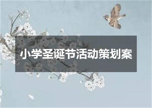 小学圣诞节活动策划案