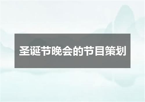 圣诞节晚会的节目策划