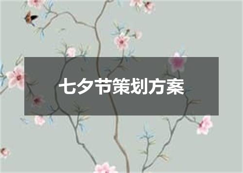 七夕节策划方案