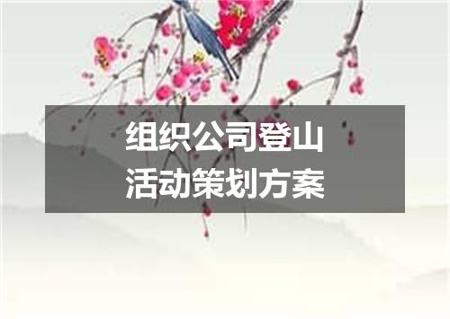 组织公司登山活动策划方案