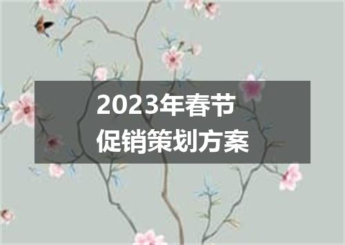 2023年春节促销策划方案
