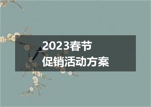 2023春节促销活动方案