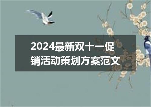 2024最新双十一促销活动策划方案范文