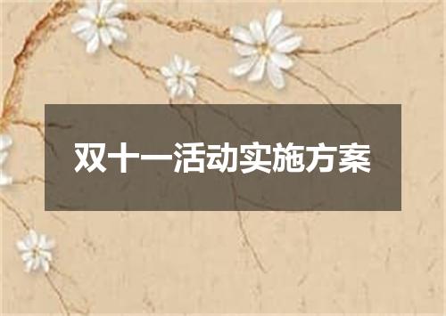 双十一活动实施方案