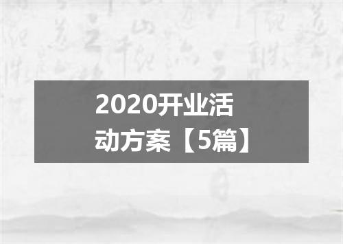 2020开业活动方案【5篇】