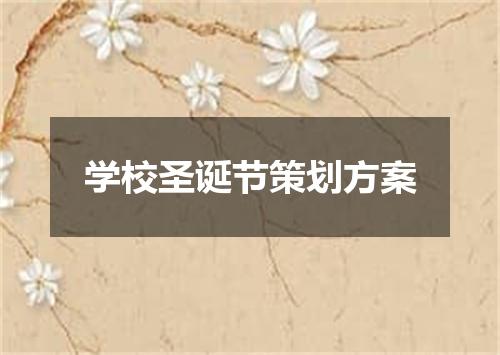 学校圣诞节策划方案