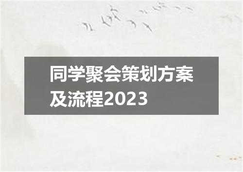 同学聚会策划方案及流程2023