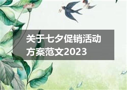 关于七夕促销活动方案范文2023