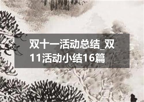 双十一活动总结_双11活动小结16篇