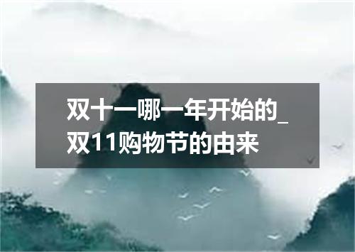 双十一哪一年开始的_双11购物节的由来