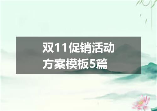 双11促销活动方案模板5篇