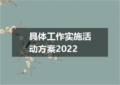 具体工作实施活动方案2022