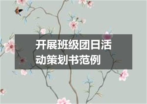 开展班级团日活动策划书范例