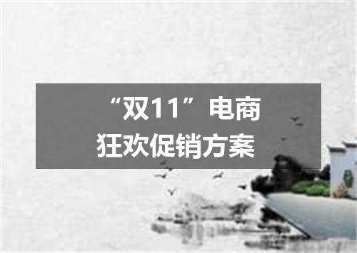“双11”电商狂欢促销方案