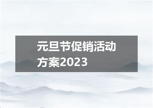 元旦节促销活动方案2023