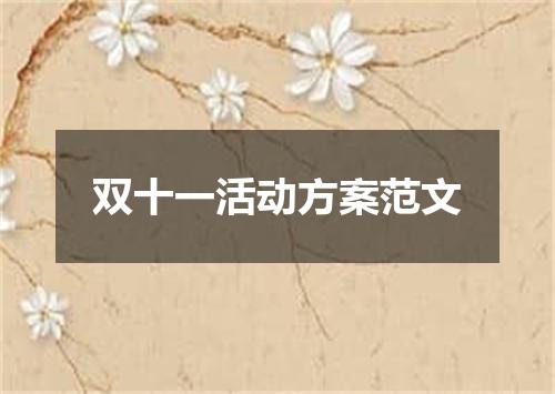 双十一活动方案范文