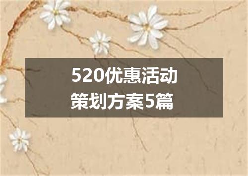 520优惠活动策划方案5篇