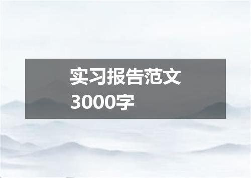 实习报告范文3000字