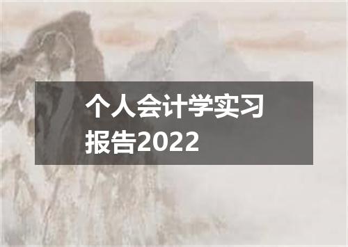 个人会计学实习报告2022