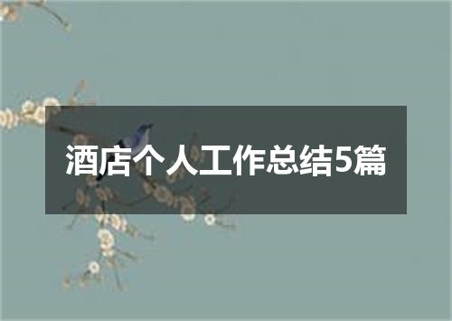 酒店个人工作总结5篇