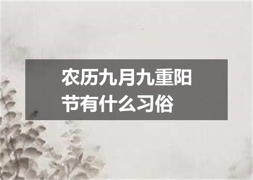 农历九月九重阳节有什么习俗