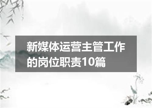 新媒体运营主管工作的岗位职责10篇