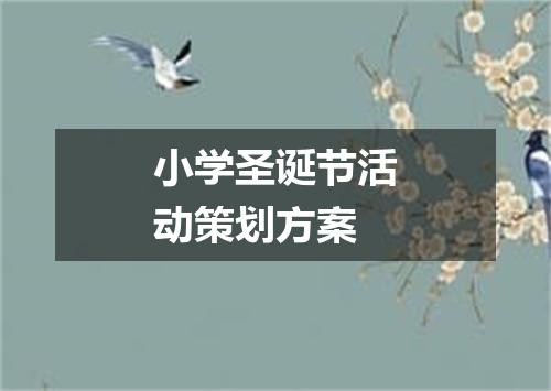 小学圣诞节活动策划方案