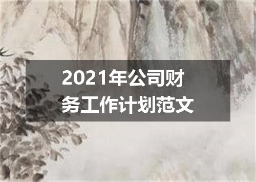 2021年公司财务工作计划范文