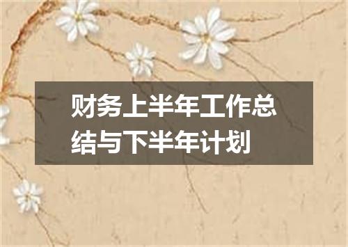 财务上半年工作总结与下半年计划