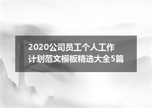 2020公司员工个人工作计划范文模板精选大全5篇