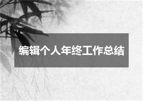 编辑个人年终工作总结