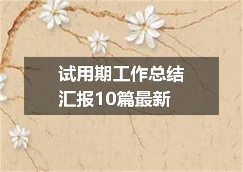试用期工作总结汇报10篇最新